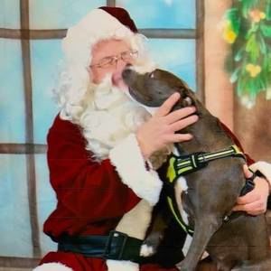 Meet your Posher, Tamara